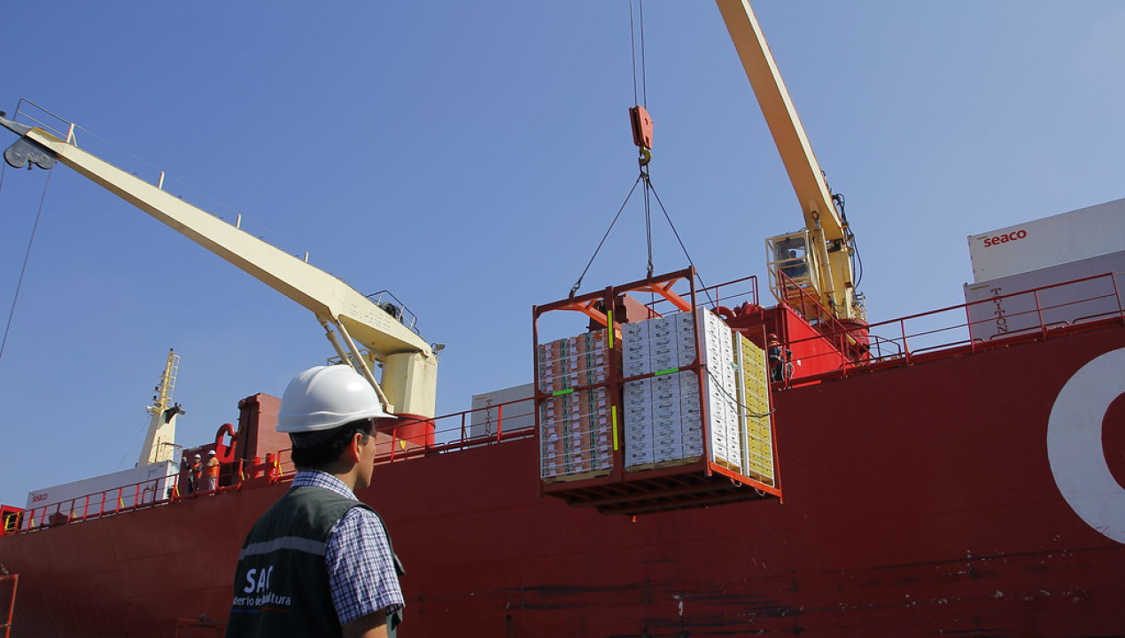 /chile-avanza-hacia-la-certificacion-fitosanitaria-100-digital-con-china