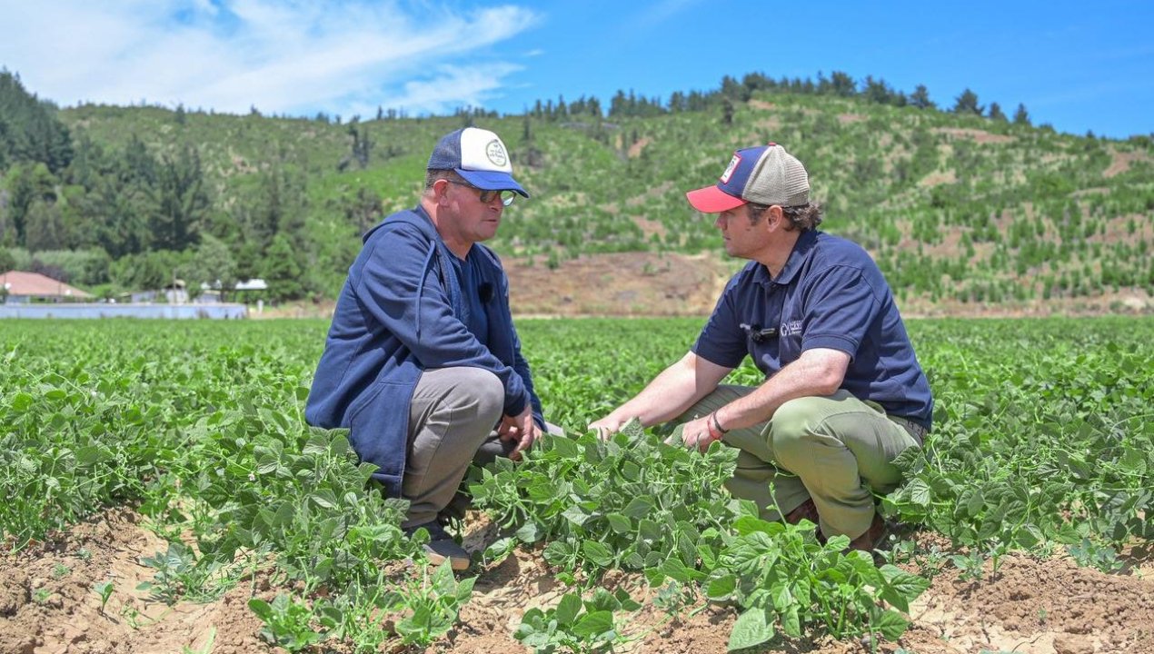 /gobernador-del-maule-impulsa-apoyo-a-300-agricultores