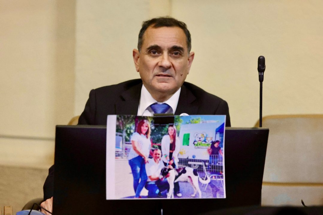 /munoz-celebra-avance-de-ley-contra-carreras-de-galgos