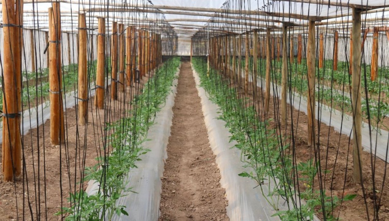 /mas-de-200-agricultores-de-salamanca-reciben-apoyo