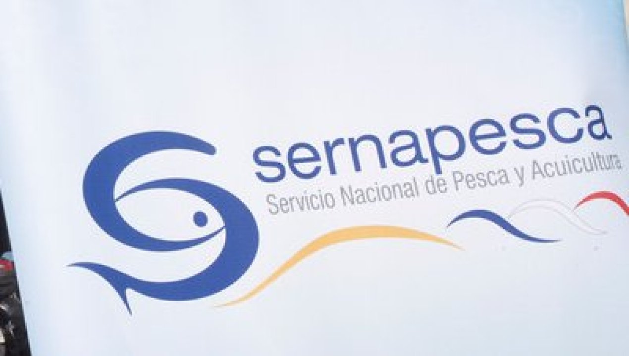 /regionales/region-de-coquimbo/sernapesca-y-autoridad-maritima-incautan-casi-dos-toneladas-de-pescado