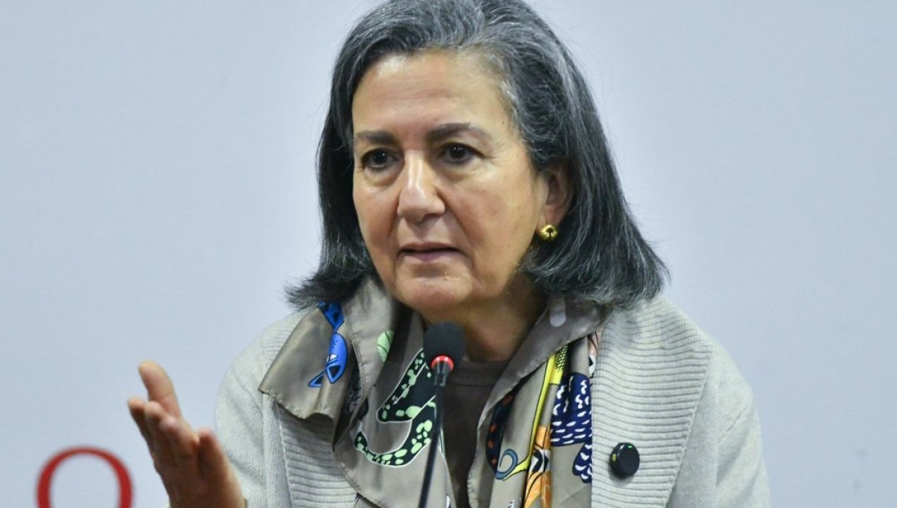/ministra-de-salud-reconoce-sobreexigencia-en-unidades-de-salud-mental